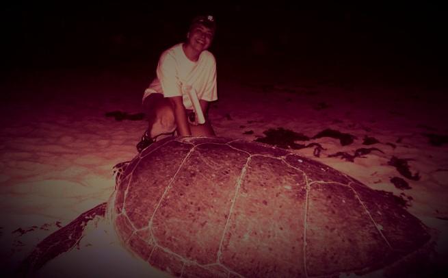Sea Turtle Nesting Season in Cozumel: A Natural Wonder Worth Protecting