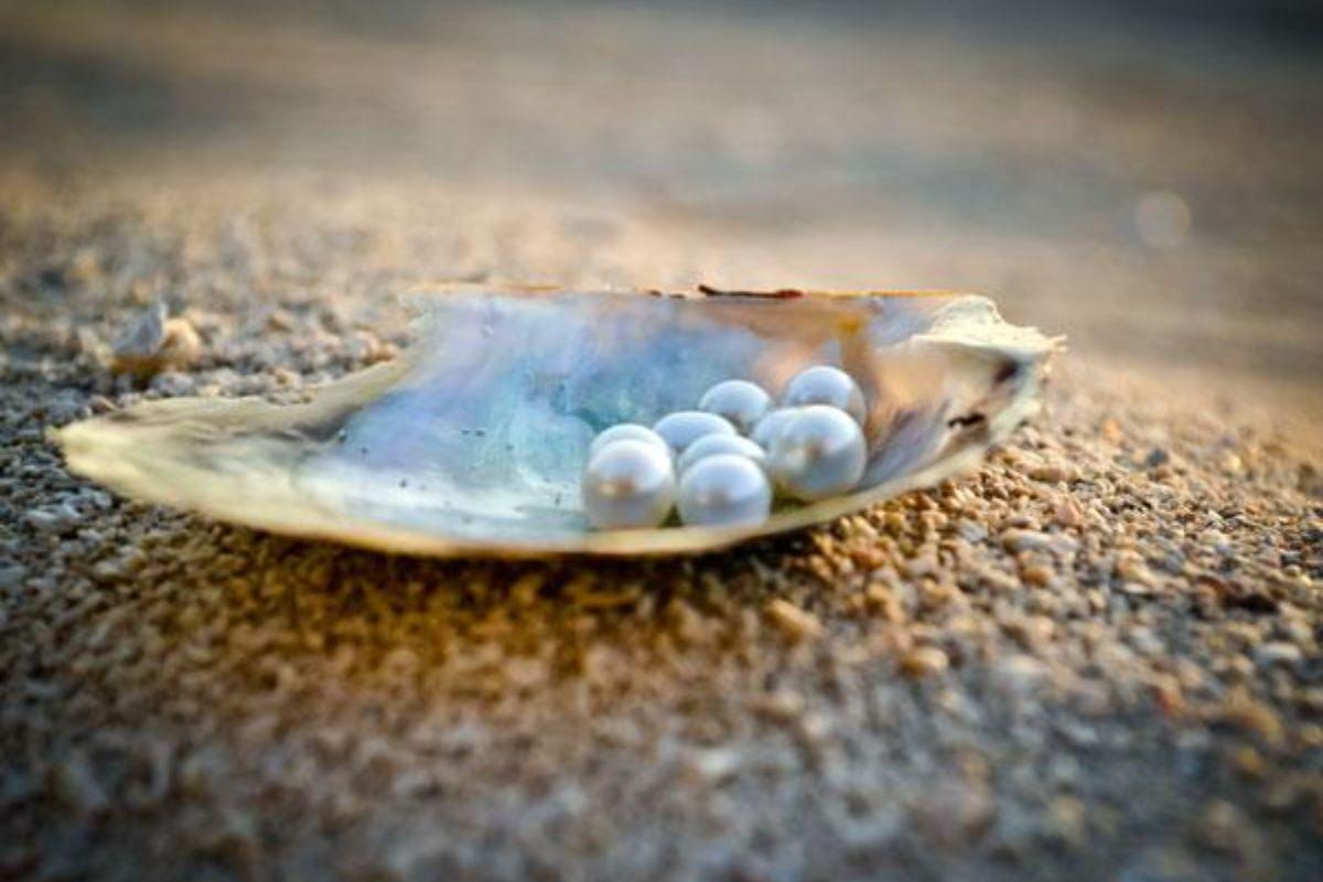 Cozumel Pearl Farm: Uncover Ocean Treasures