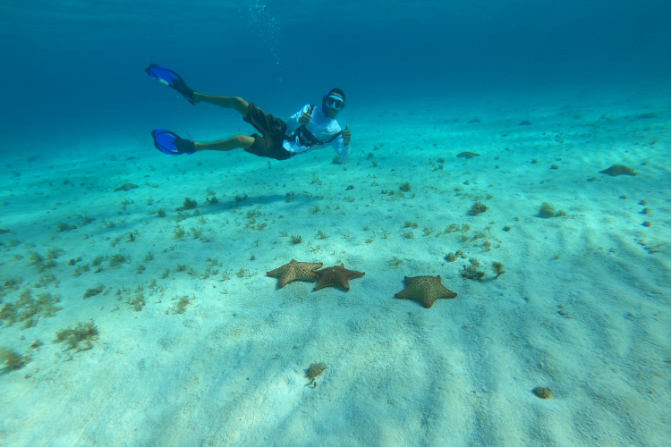 Pepe Scuba Dive Shop PADI & Excursions