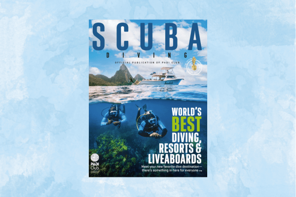 Scuba Diving Magazine’s 2025 Reader’s Choice Awards