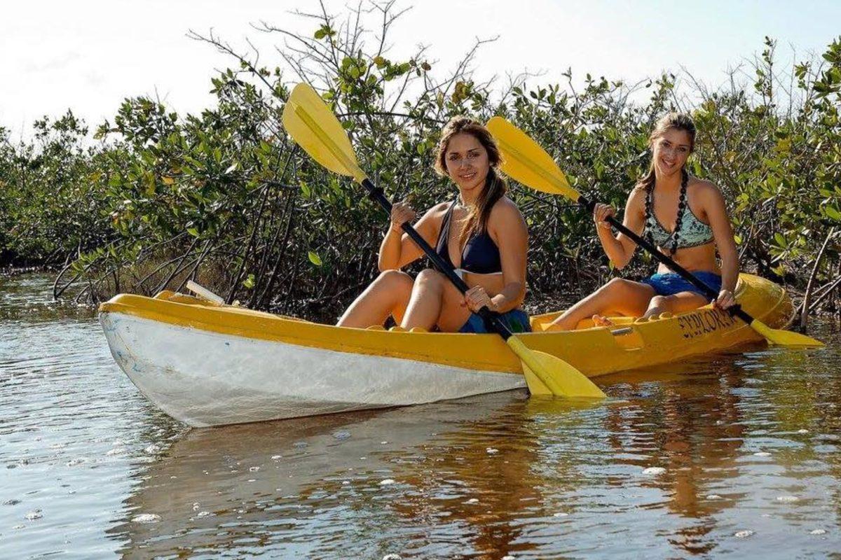 Kayak