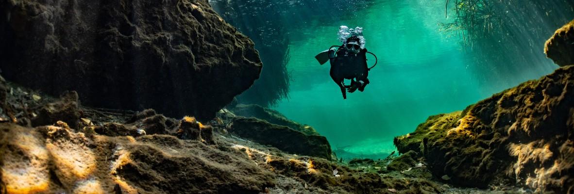 Cenotes in Cozumel: A Hidden Adventure You Can’t Miss