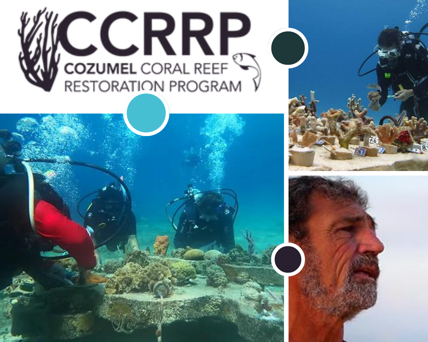 Coral Reef Restoration Fund: Make a Difference